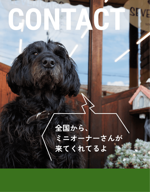 全国から、ミニオーナーさんが来てくれてるよ